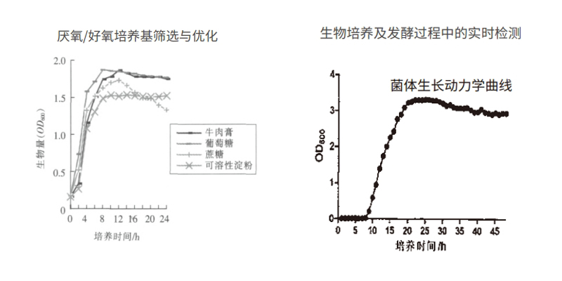 過程安全，結(jié)果精準(zhǔn)