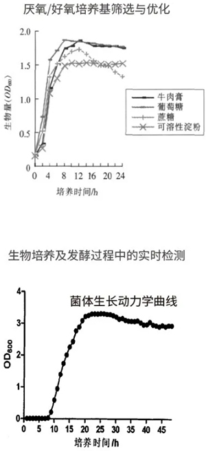 過程安全,結(jié)果精準(zhǔn)